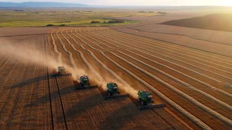 Wheat harvesting near Solgon, Krasnoyarsk region, Russia, August 28, 2021