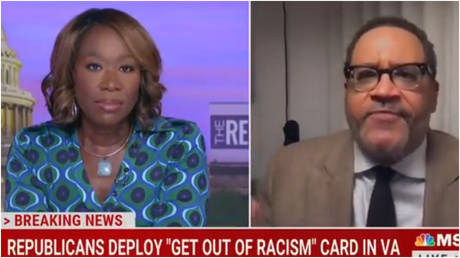 MSNBC guest trashes Virginia&rsquo;s 1st black female lieutenant governor as mouthpiece for &lsquo;white supremacy&rsquo;