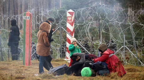 Migrants camp near a barbed wire fence on the border between Belarus and Poland. © Reuters / Leonid Scheglov