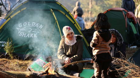 EU could pay Belarus to end migrant crisis, Russia suggests