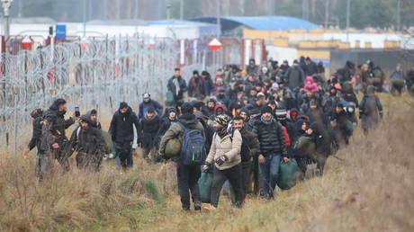 A group of migrants walk near a barbed wire fence while moving toward a makeshift camp on the Belarusian-Polish border