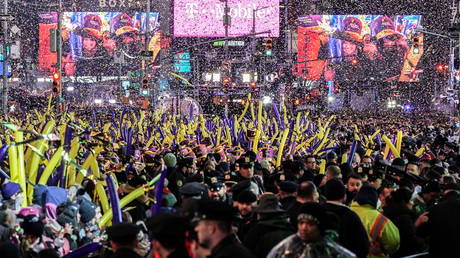 Revelers celebrate New Year's Eve in Times Square in New York City