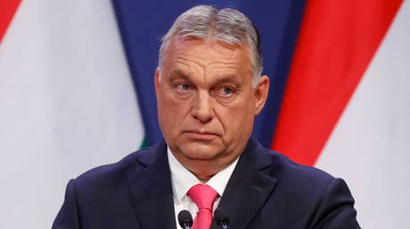 Hungarian Prime Minister Viktor Orban. © Reuters / Bernadett Szabo