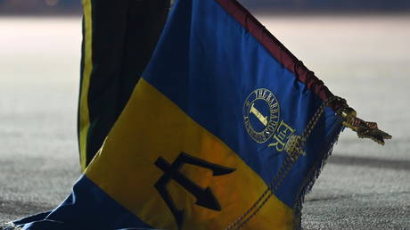 The royal crest is seen on a flag at a ceremony to mark the transition of Barbados to a republic. © Reuters /Toby Melville