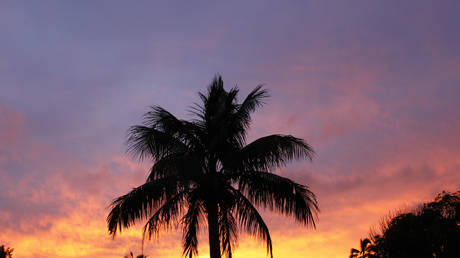 FILE PHOTO: Kailua, Hawaii © REUTERS/Hugh Gentry