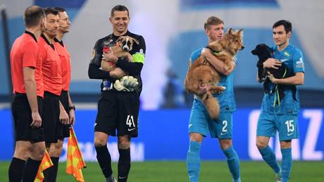 Russian champions Zenit melt hearts with viral dog gesture (VIDEO)