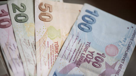 Turkish stock market halts trading as lira crashes
