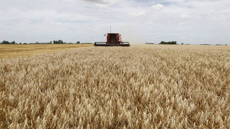 A combine harvester is used to harvest wheat in a field in the village of General Belgrano, west of Buenos Aires, Argentina, December 18, 2012.