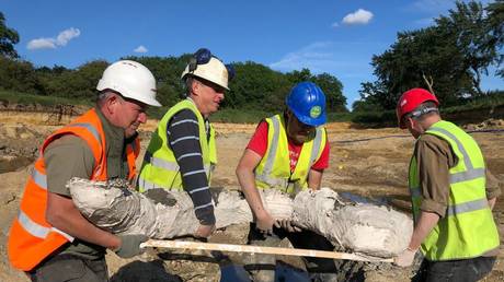 Excavation team members lifting a mammoth tusk © DigVentures