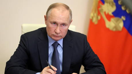Russian President Vladimir Putin. © Sputnik / Mikhail Metzel