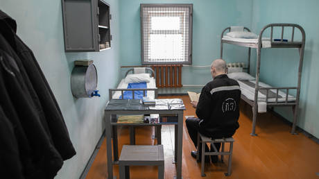 Russia could bring back death penalty - court chair