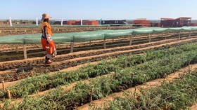 UN wrong about world’s first ‘climate-induced famine’ – study