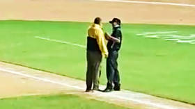 Baseball umpire axed after abusing fans, being hauled off field (VIDEO)