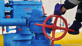 Send more Russian gas through our pipes – Ukraine tells EU