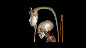 Древний египетский фараон в цифровом виде — исследование