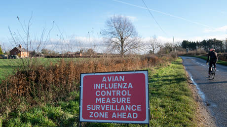 First Briton contracts deadly bird flu