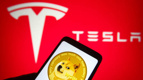 Tesla move causes meme-inspired cryptocurrency to surge