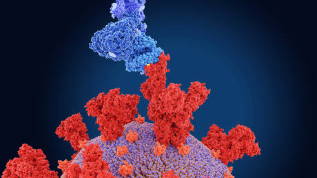 Illustration of the Covid spike protein. © Getty Images