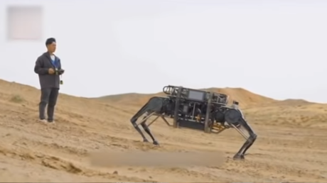 China develops world&rsquo;s largest bionic robot - state media