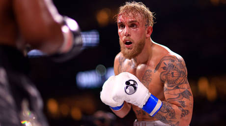 Jake Paul © Mike Ehrmann / Getty Images