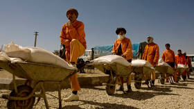 Afghan public sector workers get paid in wheat