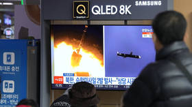 North Korea confirms latest cruise missile launch — RT World News

 |  Today Headlines