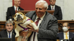 Pies zaproponowany jako "lepszy gubernator" dla stanu USA