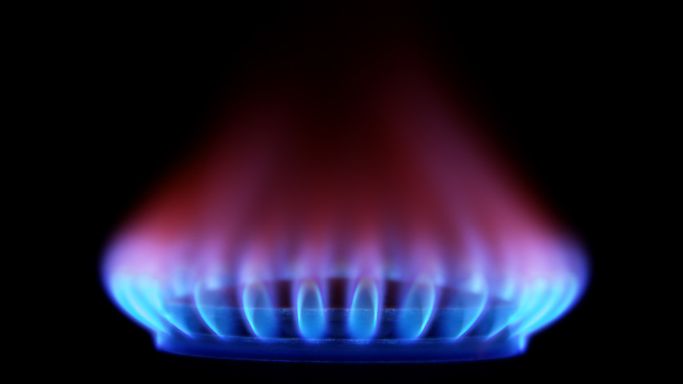 Gas price spikes in Europe as Berlin halts Nord Stream 2
