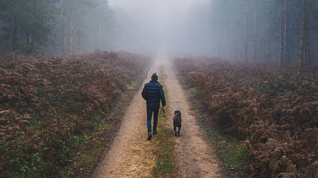 Pet waste has greater environmental impact than air pollution – study