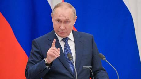 Russian President Vladimir Putin. © Sputnik / Sergey Guneev