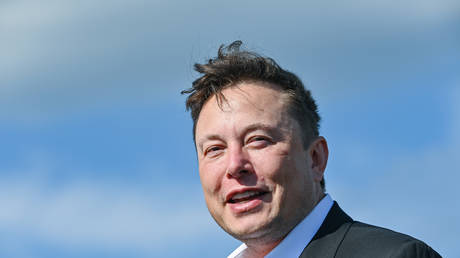 03 September 2020, Brandenburg, Grünheide: Elon Musk, head of Tesla, stands on the construction site of the Tesla Gigafactory