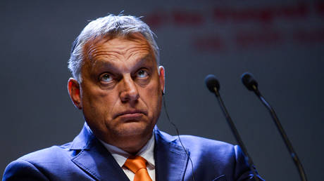 Viktor Orban © Omar Marques / Getty Images