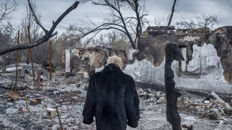 A woman at a destroyed house in the village of Sakhanka, Donetsk region. © Sputnik / Valery Melnikov