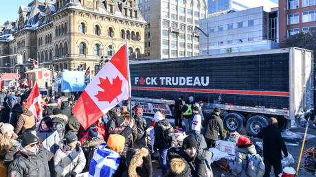 Freedom Convoy protesters are shown demonstrating earlier this month in Ottawa.