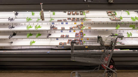 FILE PHOTO: A empty shopping cart sits in front of early empty shelves of meat at a supermarket in Washington, Tuesday, Jan. 4, 2022.