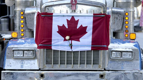 A white rose is secured under a bungee cord strapping a Canadian flag to the hood of a semi-trailer truck during the "Freedom Convoy" protests. © AP / Justin Tang