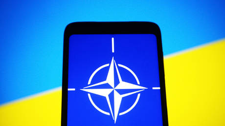 Ukraine now less likely to be accepted into NATO &ndash; former MI6 chief