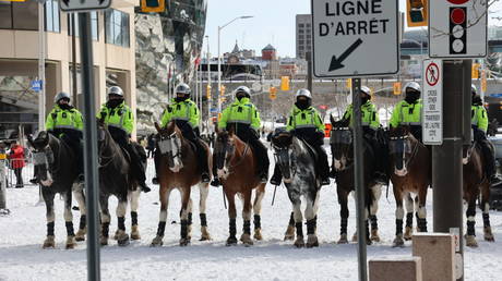 Horse is fine, police tell trampled protesters