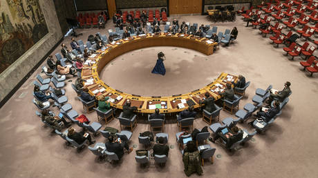 FILE PHOTO: The UN Security Council meets to discuss the situation in Ukraine at the UN Headquarters in New York City.