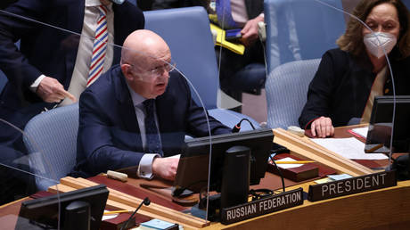 Russian envoy Vassily Nebenzia is shown speaking during a UN Security Council meeting on Monday in New York.