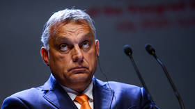 Прав ли Виктор Орбан, опасаясь вмешательства Запада в выборы в Венгрии?