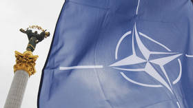 Германия не планирует принимать Украину в НАТО – Шольц