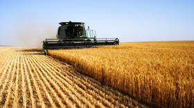 China lifts all restrictions on wheat imports from Russia