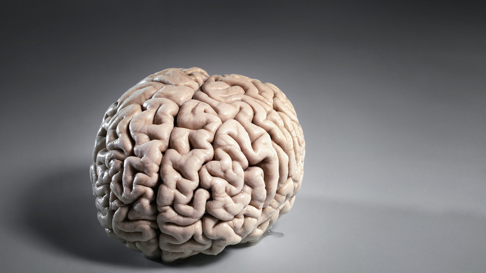 Covid can cause brain shrinkage, study finds