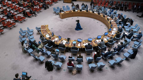 A United Nations Security Council meeting at the UN headquarters in New York. © AP / John Minchillo