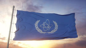 Международная ядерная организация приняла резолюцию по Украине