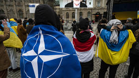 Зеленский «менее увлечен» вступлением Украины в НАТО