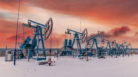 欧盟考虑对俄罗斯实施石油禁运——报告