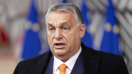 Viktor Orban © Thierry Monasse / Getty Images