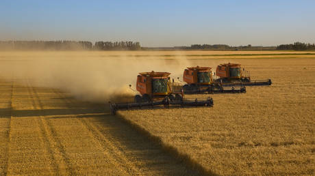 Senators call for opening fallow US land to crops amid Ukraine crisis